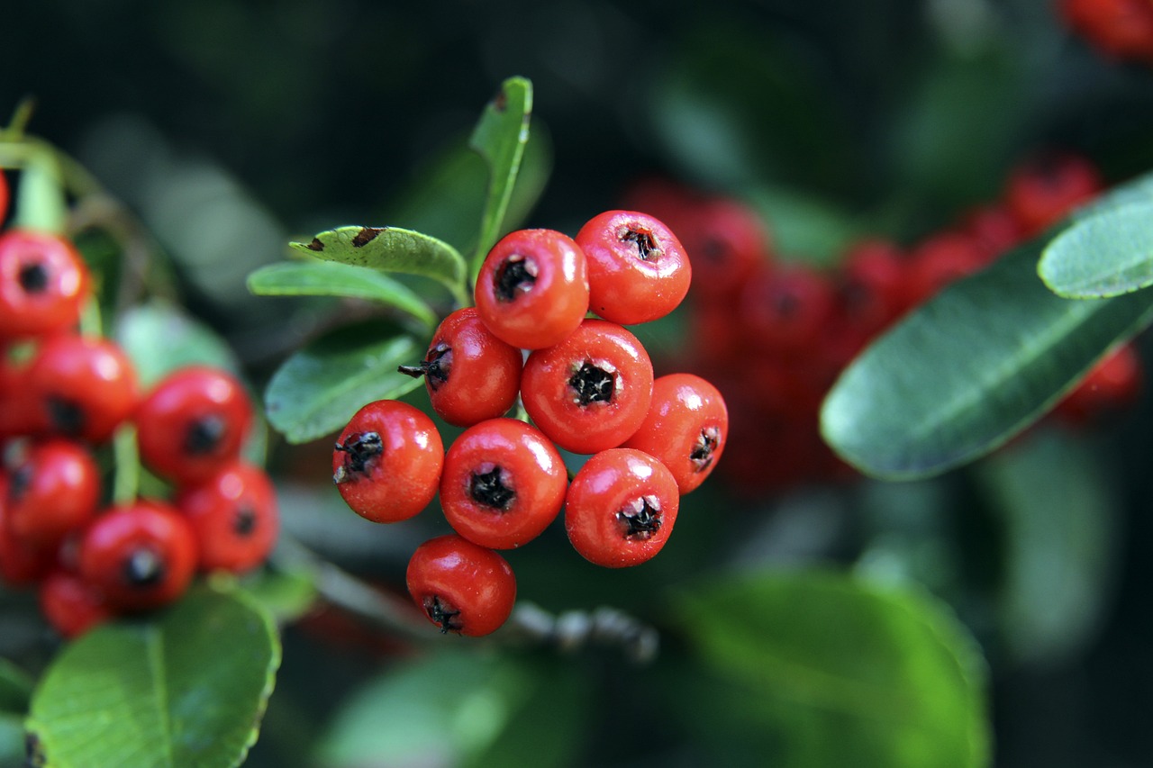 詹姆斯谈加冕庆祝：这辈子第一次这么张扬，今天需要这个时刻